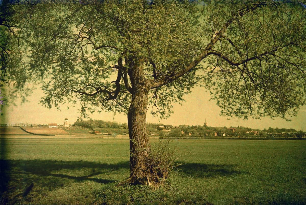 Puiestee ümbrus Tartus umbes 1910, vasakul taamal Laasi tuulik